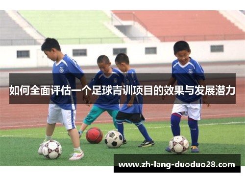 如何全面评估一个足球青训项目的效果与发展潜力