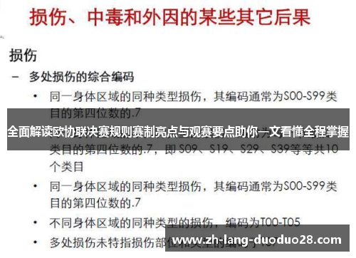 全面解读欧协联决赛规则赛制亮点与观赛要点助你一文看懂全程掌握