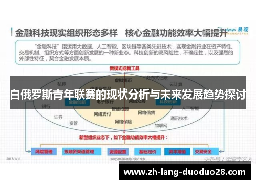 白俄罗斯青年联赛的现状分析与未来发展趋势探讨